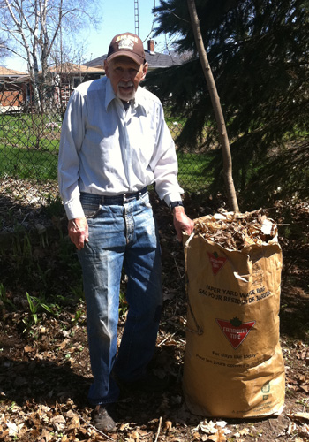 Raking the leaves